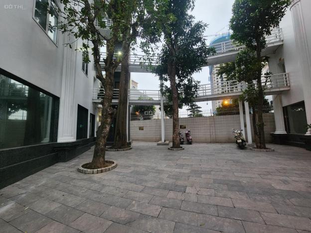 Bán nhà biệt thự, tại đường Trần Thủ Độ, phường Hoàng Văn Thụ, Hoàng Mai,Hà Nội diện tích 723m2 101 14851454