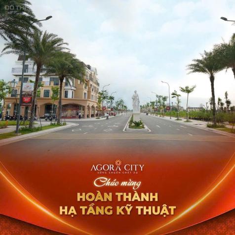 Đất nền dự án Agora City sổ sẵn từng nền giá tốt nhất để đầu tư tại Thủ Thừa - Long An 14852610