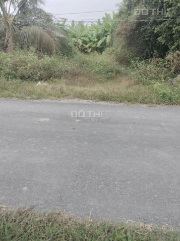 Nhanh tay sở hữu đất nền tại Thành phố Gò Công 14852957
