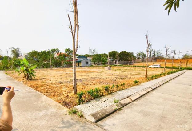 CHỈ TỪ 600TR SỞ HỮU NGAY LÔ ĐẤT P. YÊN THỌ, TP. ĐÔNG TRIỀU 14853794
