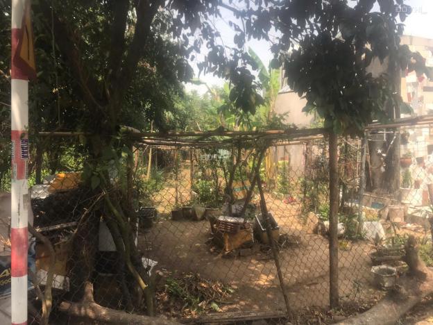 Bán đất tại Bình Hòa - Cây Dương, 950 triệu, 120m2, Vĩnh Cửu, Đồng Nai chỉ với giá cực chất 14861169