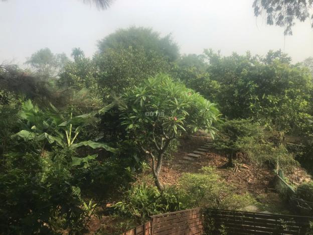 Bán đất tại Đường Bình Hòa - Cây Dương, Vĩnh Cửu, Đồng Nai diện tích 2400m2 giá 9.5 Tỷ 14861172