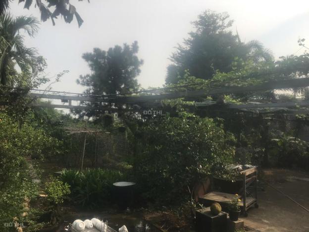 Bán đất tại Đường Bình Hòa - Cây Dương, Vĩnh Cửu, Đồng Nai diện tích 2400m2 giá 9.5 Tỷ 14861172