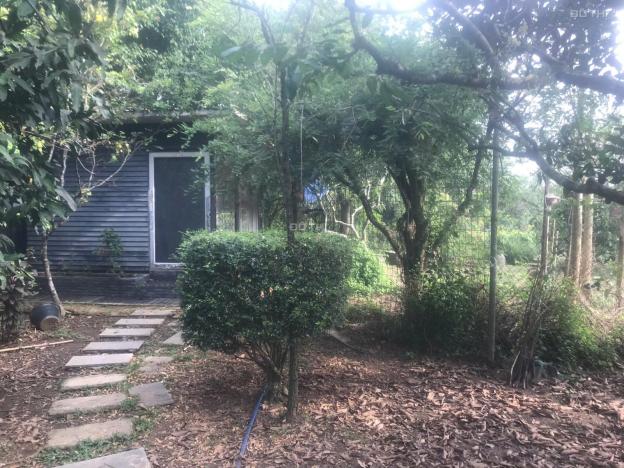 Bán đất tại Đường Bình Hòa - Cây Dương, Vĩnh Cửu, Đồng Nai diện tích 2400m2 giá 9.5 Tỷ 14861172