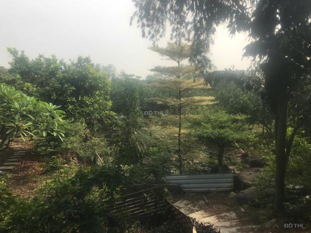 Bán đất tại Đường Bình Hòa - Cây Dương, Vĩnh Cửu, Đồng Nai diện tích 2400m2 giá 9.5 Tỷ 14861172