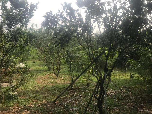Bán đất tại Đường Bình Hòa - Cây Dương, Vĩnh Cửu, Đồng Nai diện tích 2400m2 giá 9.5 Tỷ 14861172