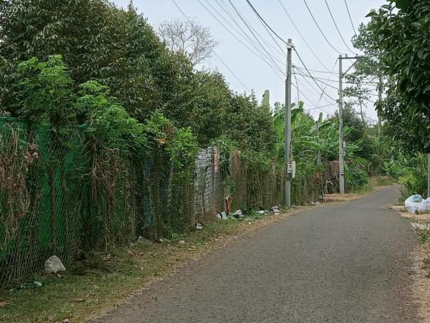Bán đất nền mặt tiền đường nhựa khu dân cư gần chợ gần trường Tân Phong , Long Khánh. Sổ riêng 100% 14862001