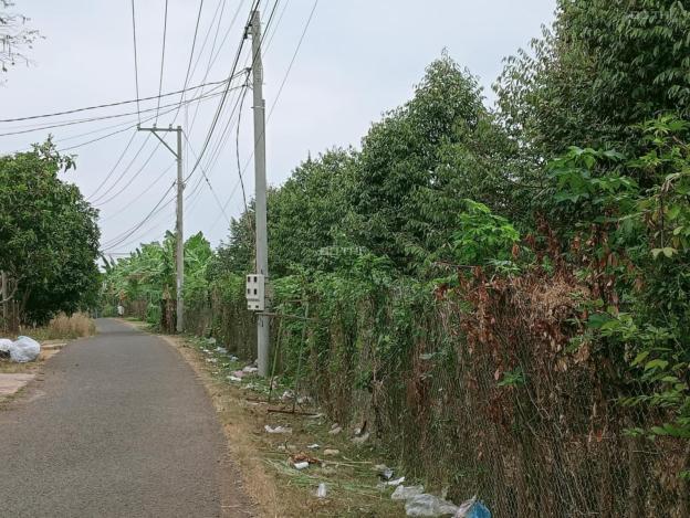 Bán đất nền mặt tiền đường nhựa khu dân cư gần chợ gần trường Tân Phong , Long Khánh. Sổ riêng 100% 14862001