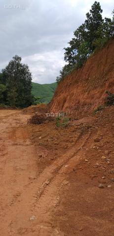 Chính chủ cần bán khu đồi 1,6Ha Đường Quốc Lộ 20, Thị trấn Ma Đa Guôi, Lâm Đồng 14867960