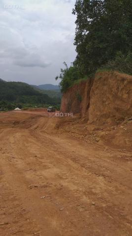 Chính chủ cần bán khu đồi 1,6Ha Đường Quốc Lộ 20, Thị trấn Ma Đa Guôi, Lâm Đồng 14867960