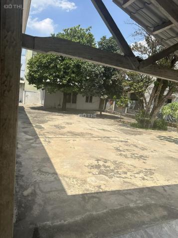 Cấn bán nhà mặt tiền 800 m2 QL 22, Tân PHú Trung Củ chi 14868851