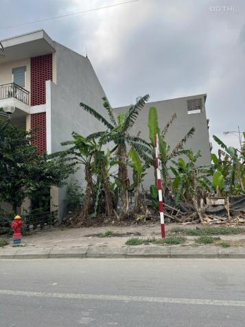 SIÊU PHẨM !! 6m Mặt tiền đường BÙI VIỆN. Ngay gần vòng xuyến ! GIÁ VÔ CÙNG HỢP LÝ 14869554