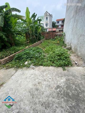 Bán đất Tổ 12 Đồng Mai, sát dịch vụ Đồng Mai, Vành Đai 4, giá 2,x tỷ 14870212