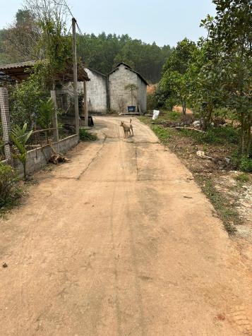 🌟 CHÍNH CHỦ CẦN BÁN ĐẤT ĐẦU TƯ TẠI THÁI NGUYÊN 14870400