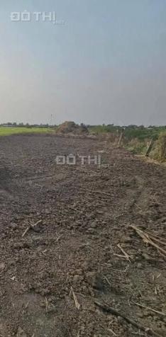 🔥🔥 BÁN GẤP LÔ ĐẤT MẶT TIỀN ĐAN - LÊ VĂN HIẾU, MỸ THẠNH TÂN, TÂN TRỤ, LONG AN 14871068