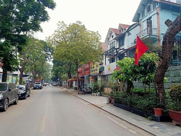 Cho thuê biệt thự Mỹ Đình 2 vị trí đẹp trục chính giá 50 triệu/tháng 14871807