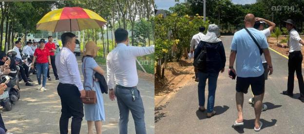 CƠN SỐT ĐẤT NỀN TÂN ĐỊNH SÁT ĐẠI NAM 14873246