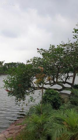 💎 SIÊU PHẨM ĐẤT ĐẸP TRUNG TÂM TỪ SƠN – VIEW HỒ – SỔ ĐỎ TỪNG LÔ – GIÁ CHỈ TỪ 44 TRIỆU/M 14881651