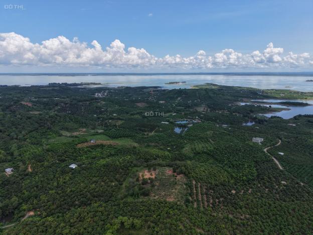 Đất Đẹp La Ngà – Sổ Riêng, View Chill, Đường Ô Tô – Chính Chủ Sang Nhượng 14887317