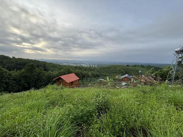 Đất Đẹp La Ngà – Sổ Riêng, View Chill, Đường Ô Tô – Chính Chủ Sang Nhượng 14887317