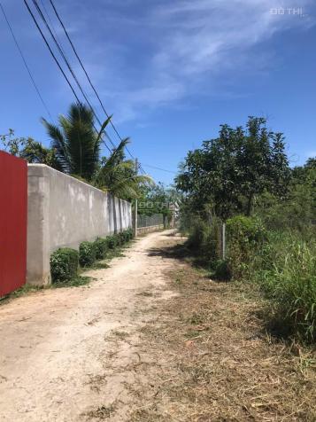 Cần bán nhanh lô đất đẹp 100m² tại Gia Kiệm – Thống Nhất, giá chỉ 595 triệu 14887322