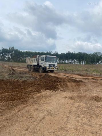 CHO THUÊ GẤP – ĐẤT ĐẸP GIÁ SIÊU TỐT – 45.000m² TẠI AN LONG 14891997