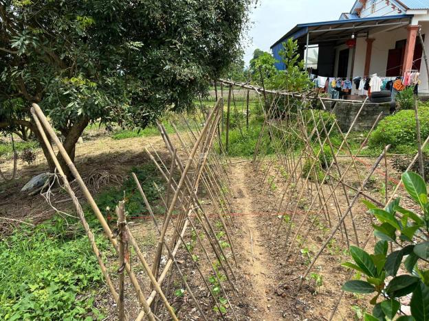 Phúc Xuân - TP.Thái Nguyên, dt 80m2 full thổ cư. Nằm trong dự án Trung Tâm Hành Chính mới xã Đại Ph 14897282