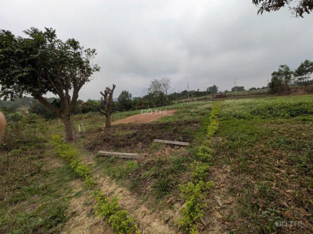 ĐẤT THỔ CƯ TÁCH SỔ – YÊN TĨNH TẠI THÔN THỦ TRUNG – THANH MỸ – SƠN TÂY, HÀ Nội 14897558