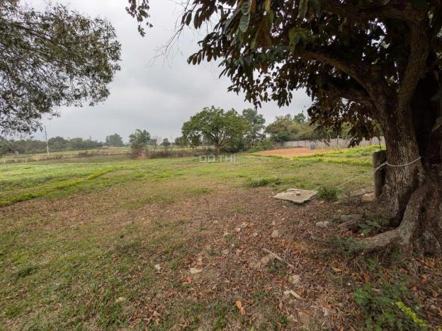 ĐẤT THỔ CƯ TÁCH SỔ – YÊN TĨNH TẠI THÔN THỦ TRUNG – THANH MỸ – SƠN TÂY, HÀ Nội 14897558