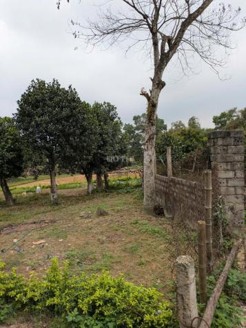 ĐẤT THỔ CƯ TÁCH SỔ – YÊN TĨNH TẠI THÔN THỦ TRUNG – THANH MỸ – SƠN TÂY, HÀ Nội 14897558