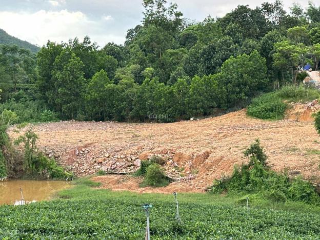 Thái Nguyên, diện tích 358,5m2 có 100m2 thổ cư. Nằm trong dự án quy hoạch xã Đại Phúc mới 14899409