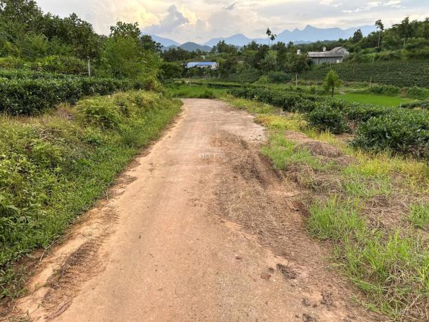 Thái Nguyên, diện tích 358,5m2 có 100m2 thổ cư. Nằm trong dự án quy hoạch xã Đại Phúc mới 14899409