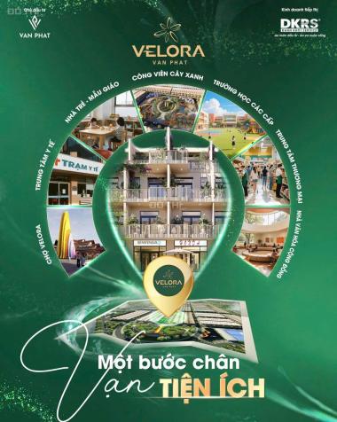 Shophouse 1 Trệt 2.5 Lầu – Mặt Tiền Đắc Địa Đông Cần Thơ – Kinh Doanh & Cho Thuê Sinh Lời Cao 14901034