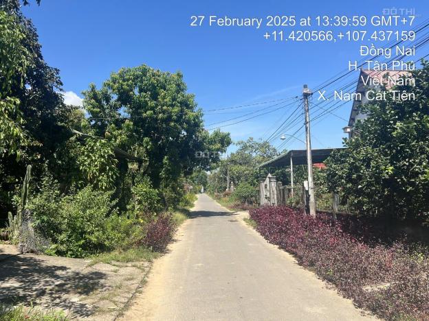 Bán đất hẻm đường 600A, đối diện UBND xã Nam Cát Tiên 14901943