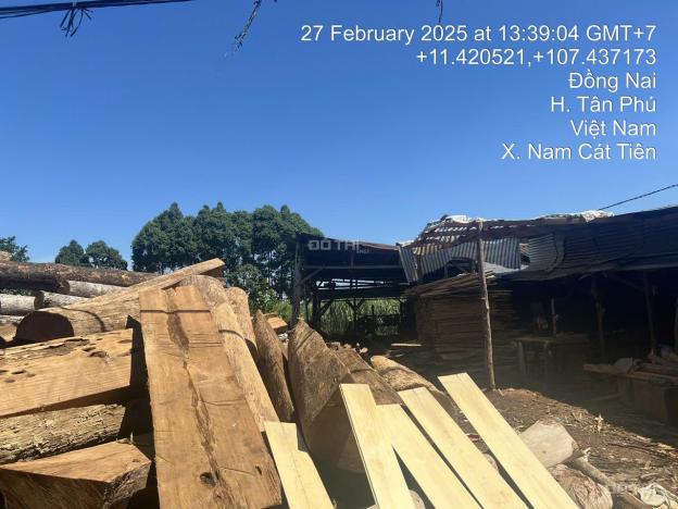 Bán đất hẻm đường 600A, đối diện UBND xã Nam Cát Tiên 14901943