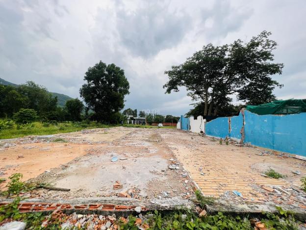 Bán đất chính chủ tại Xã Tân Hưng, Bà Rịa, Bà Rịa Vũng Tàu (cũ) diện tích 381m2 giá 3.5 Tỷ 14902696