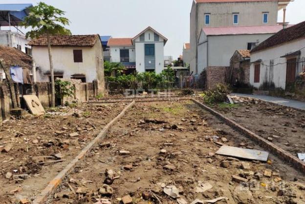 🔥 BÁN ĐẤT NGỌC HỒI – VỊ TRÍ ĐẸP – SỔ ĐỎ CHÍNH CHỦ – GIÁ TỐT  14905199