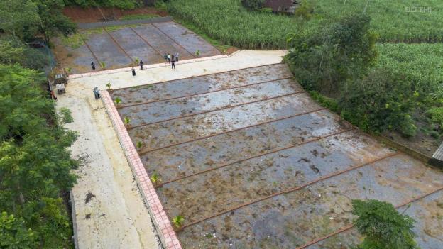 Đất nền thổ cư Thạch Cẩm, Thạch Thành, Thanh Hoá 14908472