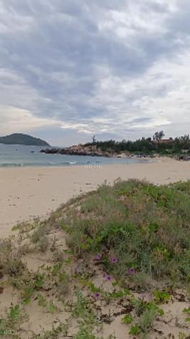 Bắt đầu sốt lại rồi! Bán Đất Mặt Biển Phú Yên Chính Chủ 24.000m2 – Sổ Hồng, Giá Tốt, Hợp Xây Resort 14909511