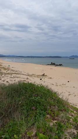 Bắt đầu sốt lại rồi! Bán Đất Mặt Biển Phú Yên Chính Chủ 24.000m2 – Sổ Hồng, Giá Tốt, Hợp Xây Resort 14909511