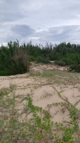 Bắt đầu sốt lại rồi! Bán Đất Mặt Biển Phú Yên Chính Chủ 24.000m2 – Sổ Hồng, Giá Tốt, Hợp Xây Resort 14909511