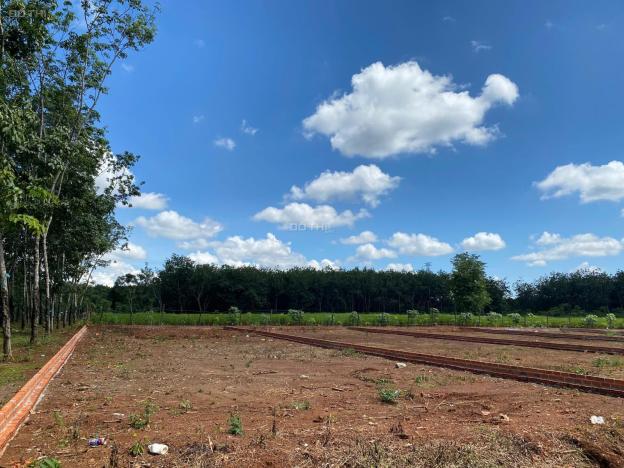 📍 Đất Trung Tâm Long Hà – Dân Cư Đông Đúc, Đầu Tư An Toàn  14913897