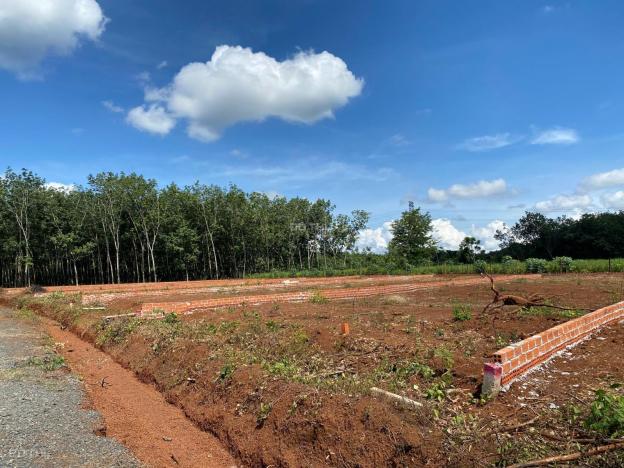 📍 Đất Trung Tâm Long Hà – Dân Cư Đông Đúc, Đầu Tư An Toàn  14913897