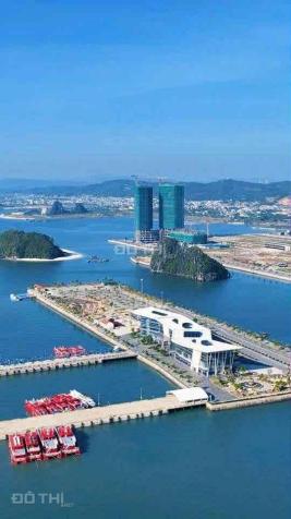 Chính chủ rao bán căn studio 33m2 view vịnh 14916825