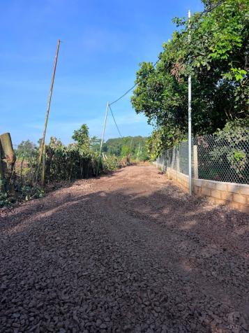 CHÍNH CHỦ BÁN ĐẤT VƯỜN TẠI QUANG TRUNG - THỐNG NHẤT DIỆN TÍCH 1000m2 GIÁ CHỈ 980TR 14918823