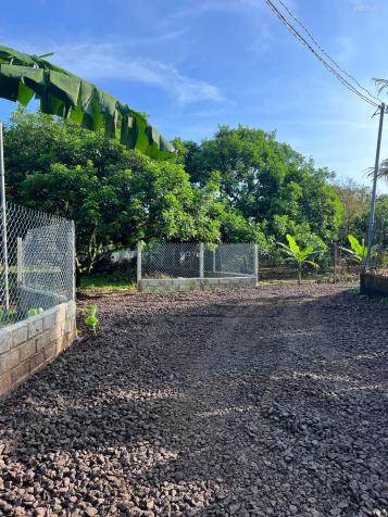 CHÍNH CHỦ BÁN ĐẤT VƯỜN TẠI QUANG TRUNG - THỐNG NHẤT DIỆN TÍCH 1000m2 GIÁ CHỈ 980TR 14918823