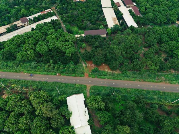 CHÍNH CHỦ BÁN ĐẤT VƯỜN TẠI QUANG TRUNG - THỐNG NHẤT DIỆN TÍCH 1000m2 GIÁ CHỈ 980TR 14918823