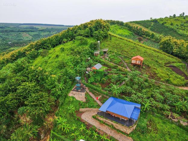 BÁN ĐẤT VƯỜN LA NGÀ - ĐỊNH QUÁN, ĐỒNG NAI, VIEW HỒ TRỊ AN 1000m2 GIÁ CHỈ 850TR 14918829