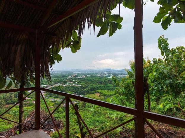 BÁN ĐẤT VƯỜN LA NGÀ - ĐỊNH QUÁN, ĐỒNG NAI, VIEW HỒ TRỊ AN 1000m2 GIÁ CHỈ 850TR 14918829