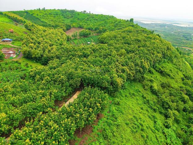 BÁN ĐẤT VƯỜN LA NGÀ - ĐỊNH QUÁN, ĐỒNG NAI, VIEW HỒ TRỊ AN 1000m2 GIÁ CHỈ 850TR 14918829